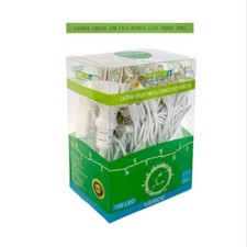 Luci Natalizie Catena 100 LED